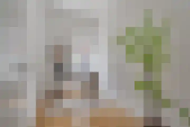 Ondiep 202 Utrecht thumbnail 16