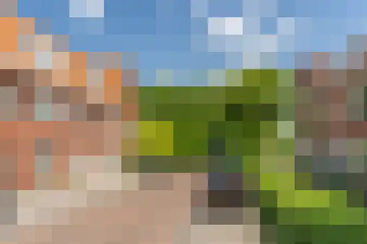 Ondiep 202 Utrecht thumbnail 20