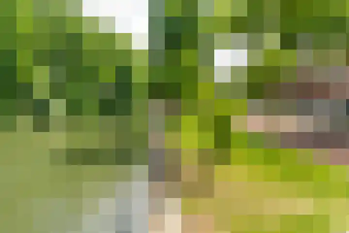 Ondiep 202 Utrecht thumbnail 24