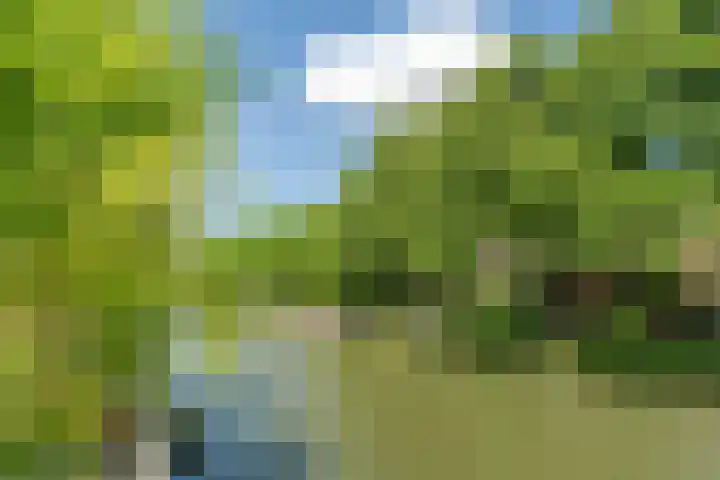 Ondiep 202 Utrecht thumbnail 25