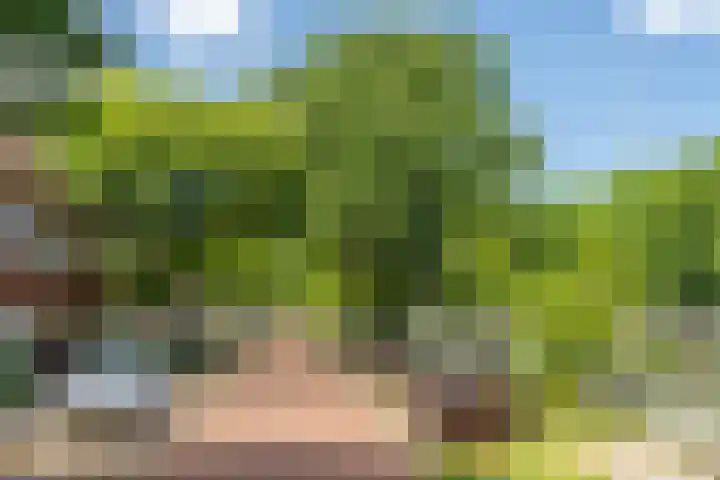 Ondiep 202 Utrecht thumbnail 26