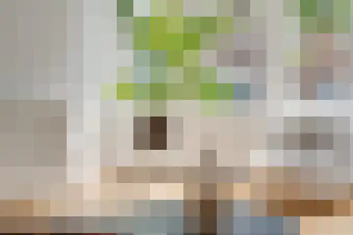 Ondiep 202 Utrecht thumbnail 5