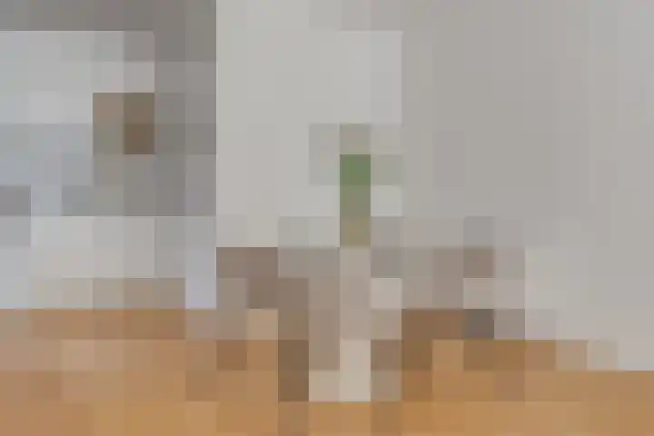 Ondiep 202 Utrecht thumbnail 7