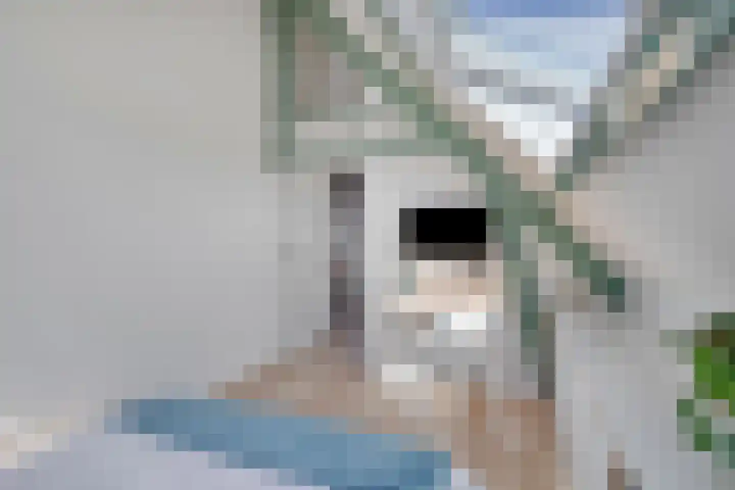 Ondiep 78 BS Utrecht thumbnail 19
