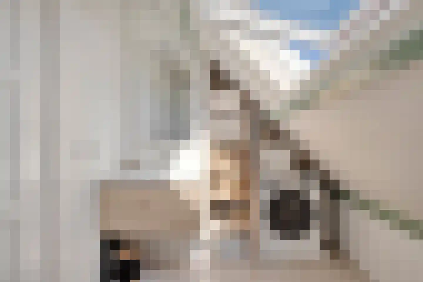 Ondiep 78 BS Utrecht thumbnail 20