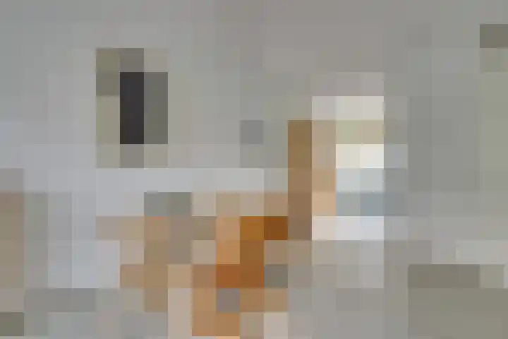 Ondiep 90 Utrecht thumbnail 12