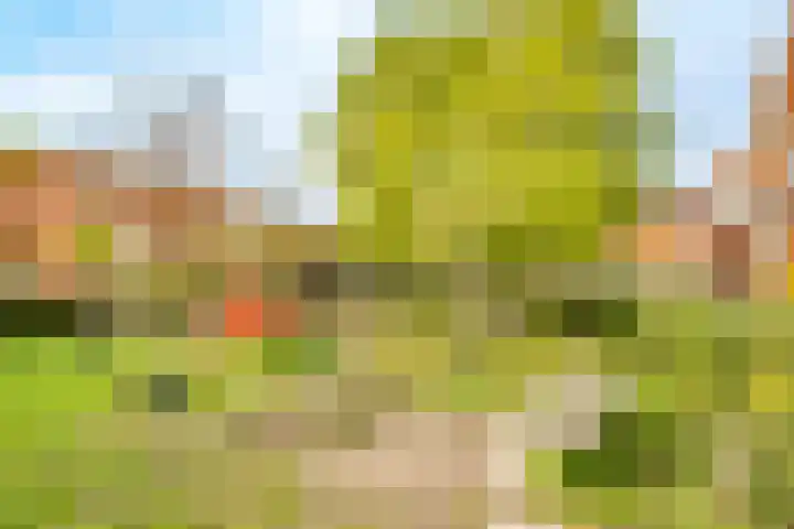Ondiep 90 Utrecht thumbnail 43