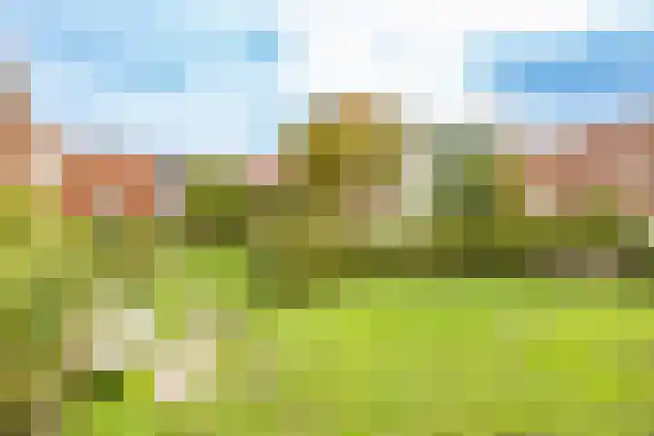 Ondiep 90 Utrecht thumbnail 44