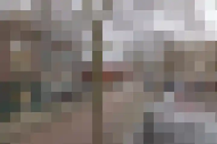 Ondiep-Zuidzijde 11 Utrecht thumbnail 15