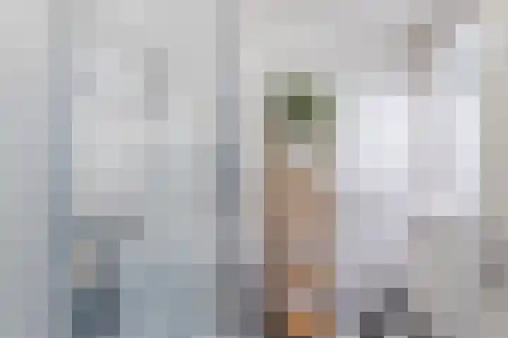 Ondiep-Zuidzijde 15 Utrecht thumbnail 18