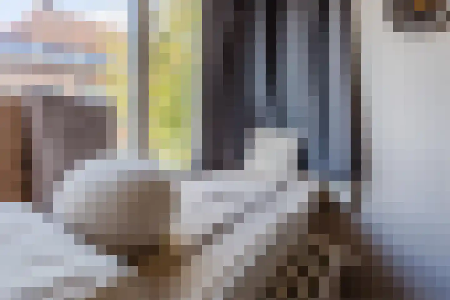 Ondiep-Zuidzijde 23 Utrecht thumbnail 8