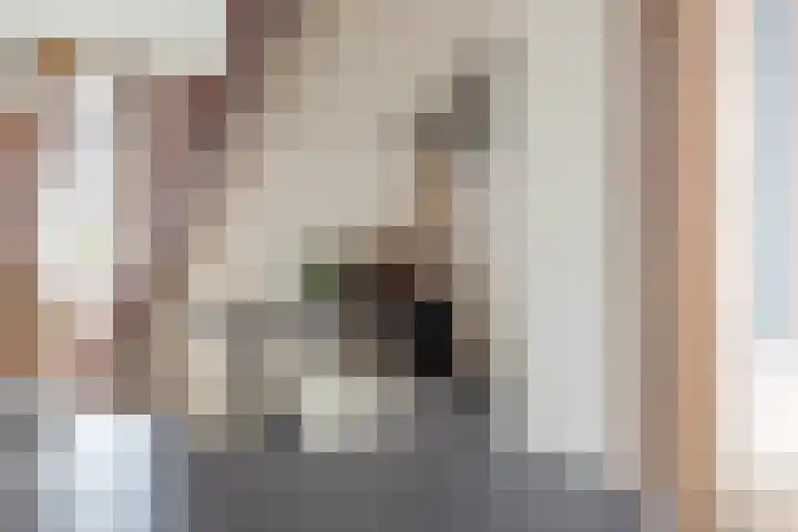 Ondiep-Zuidzijde 53 Utrecht thumbnail 6