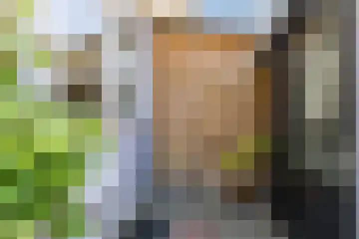 Onegastraat 16 Zaandam thumbnail 26