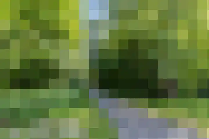 Onegastraat 16 Zaandam thumbnail 33