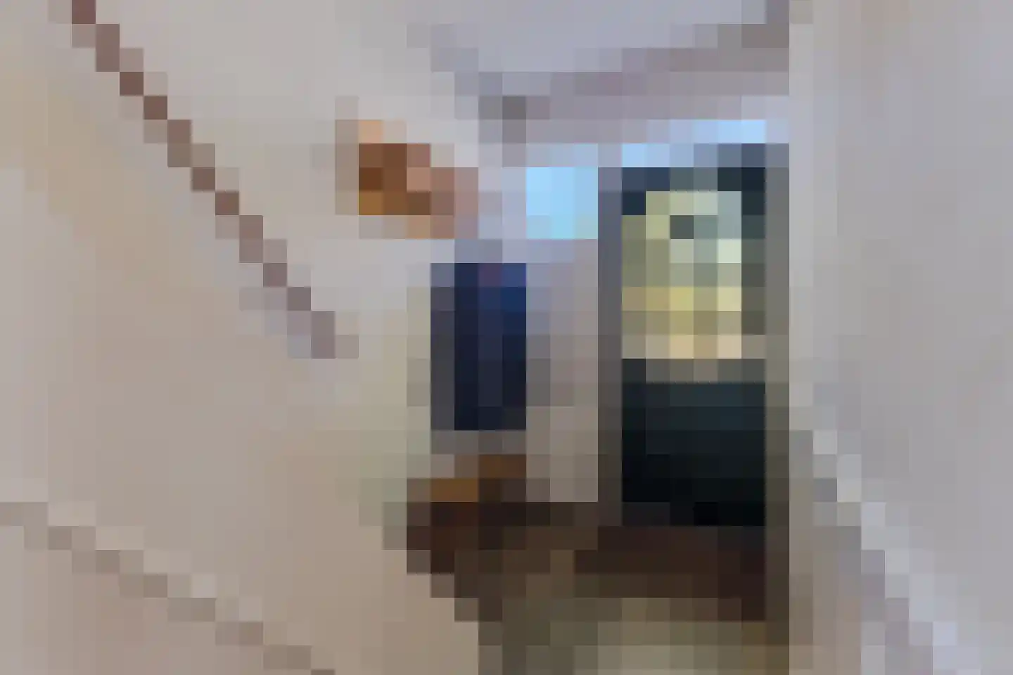 Onegastraat 39 Zaandam thumbnail 17