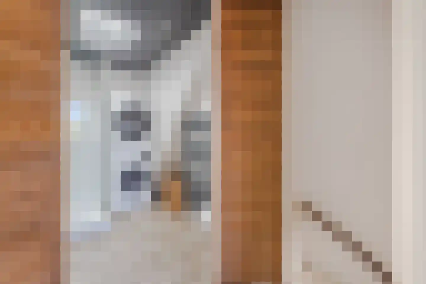 Onegastraat 39 Zaandam thumbnail 27