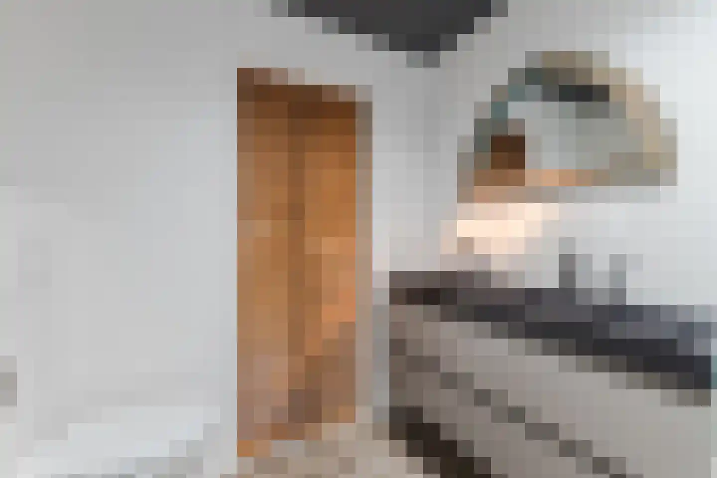 Onegastraat 39 Zaandam thumbnail 29