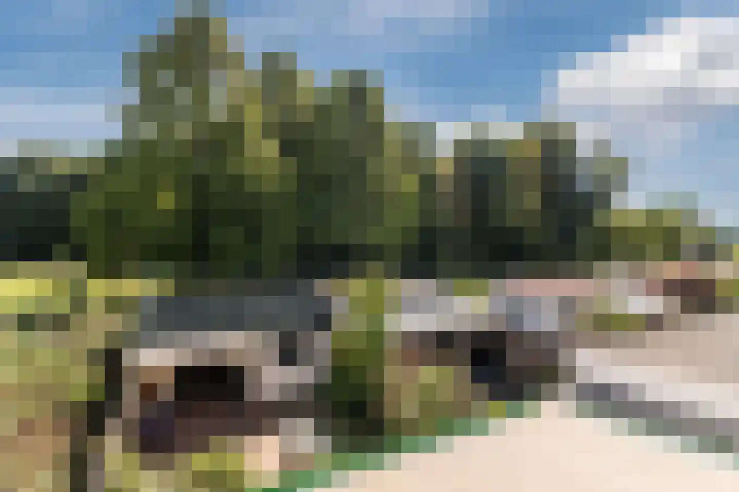 Onegastraat 39 Zaandam thumbnail 30