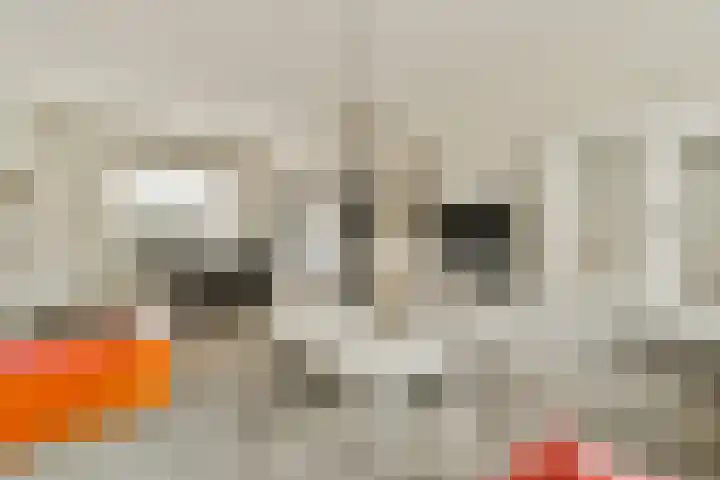 Onegastraat 55 Zaandam thumbnail 8