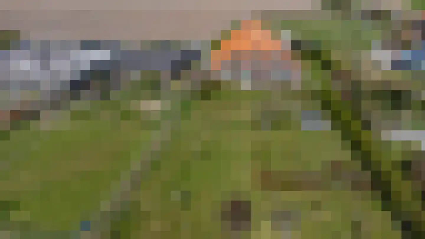 Ongeren 15 Den Burg thumbnail 25