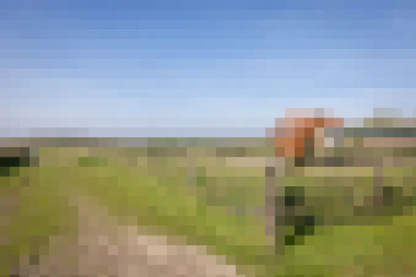 Ongeren 15 Den Burg thumbnail 31