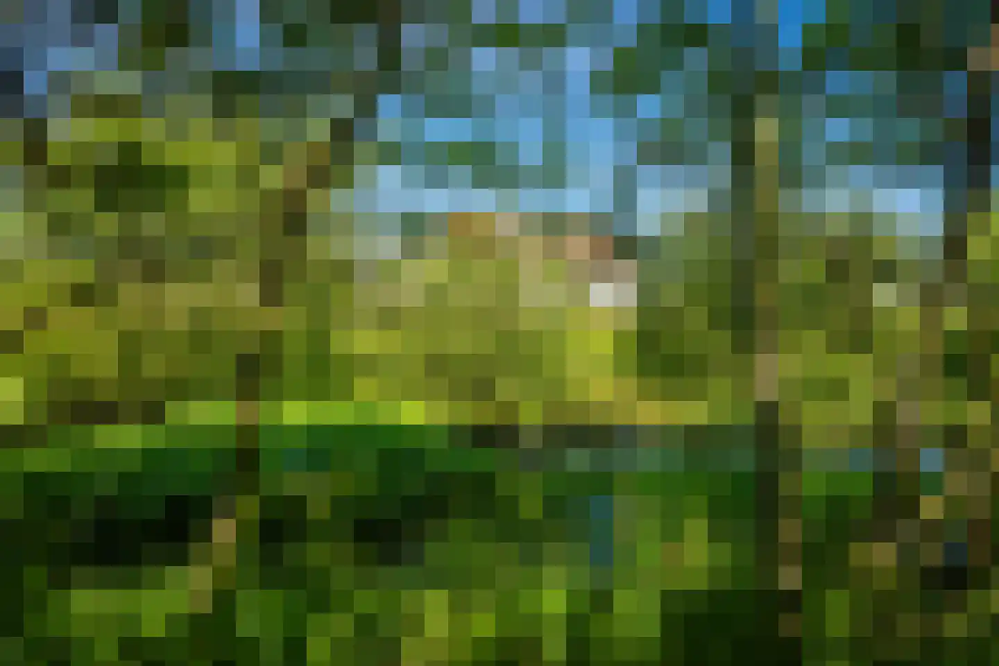 Ongeren 7 Den Burg thumbnail 11