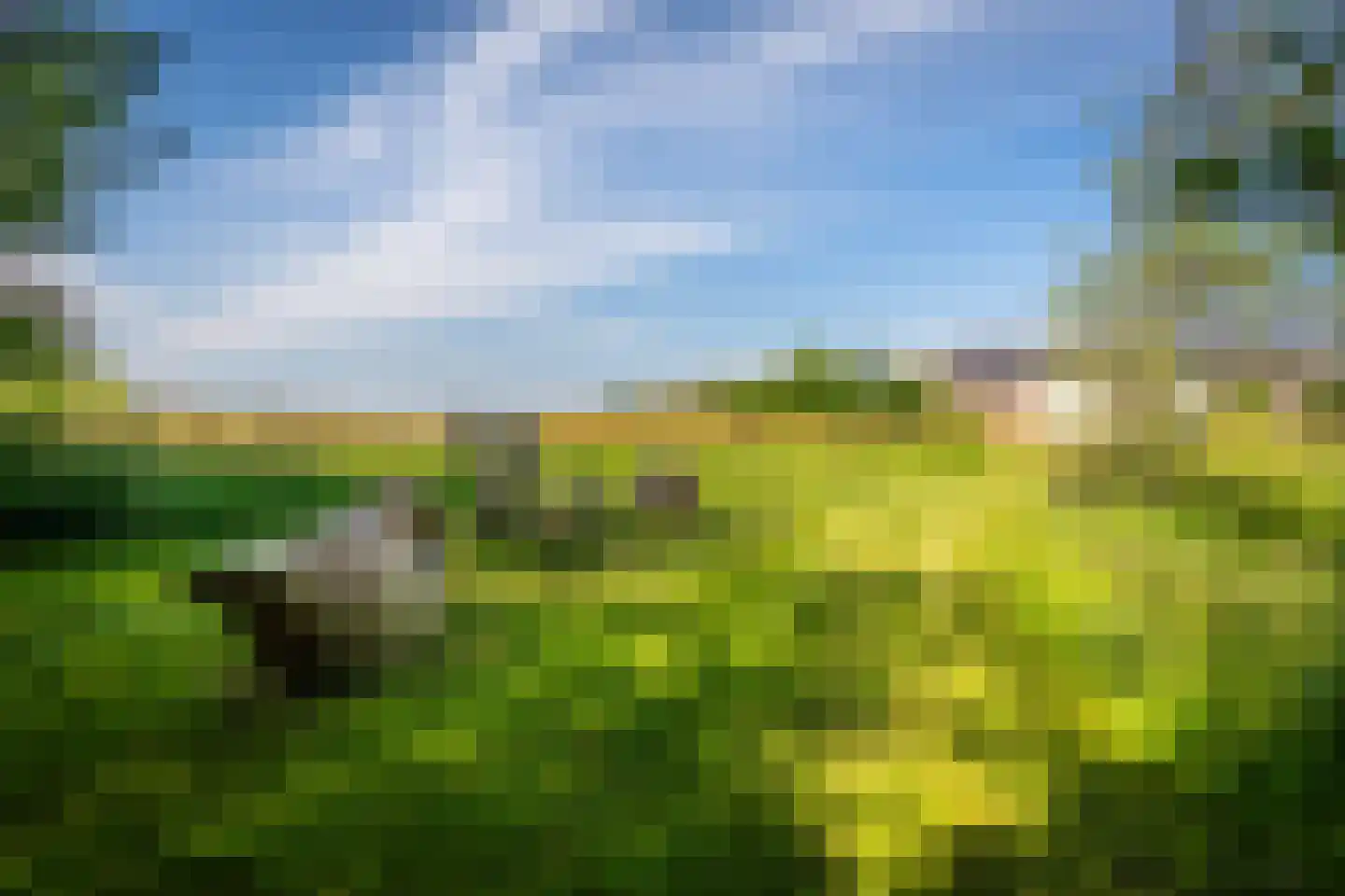 Ongeren 7 Den Burg thumbnail 12
