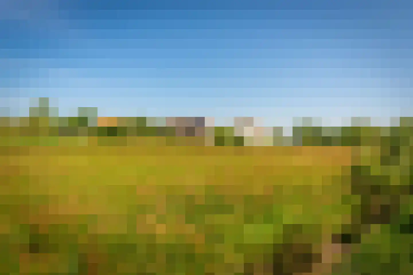 Ongeren 7 Den Burg thumbnail 13