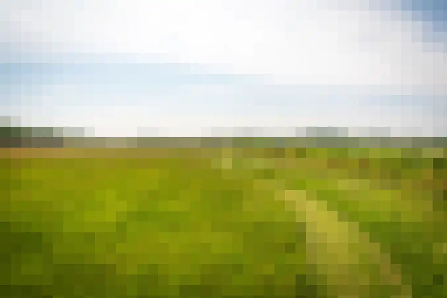Ongeren 7 Den Burg thumbnail 14