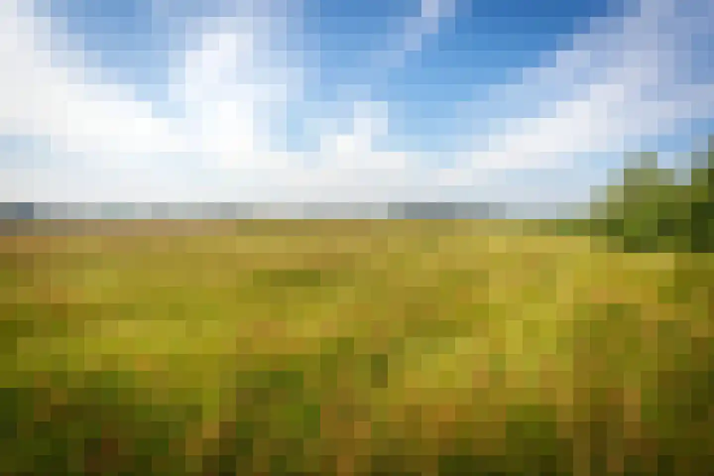 Ongeren 7 Den Burg thumbnail 15