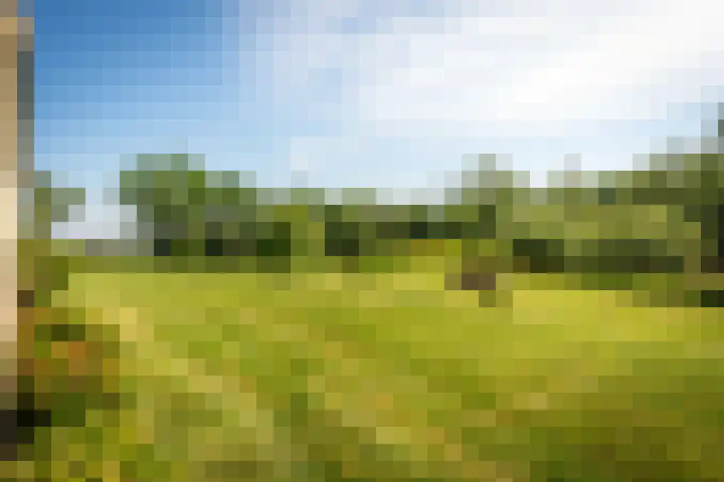 Ongeren 7 Den Burg thumbnail 20