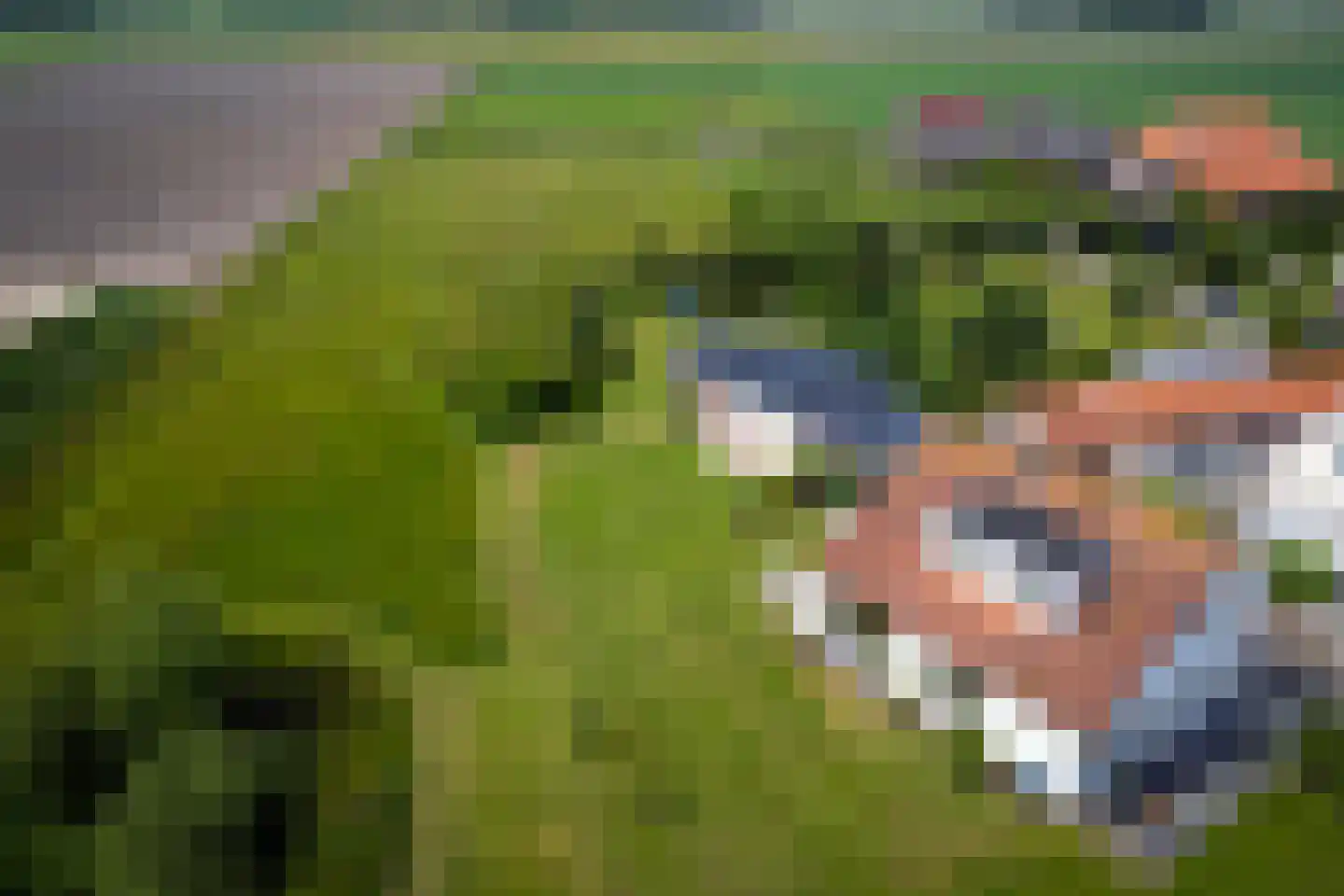 Ongeren 7 Den Burg thumbnail 30