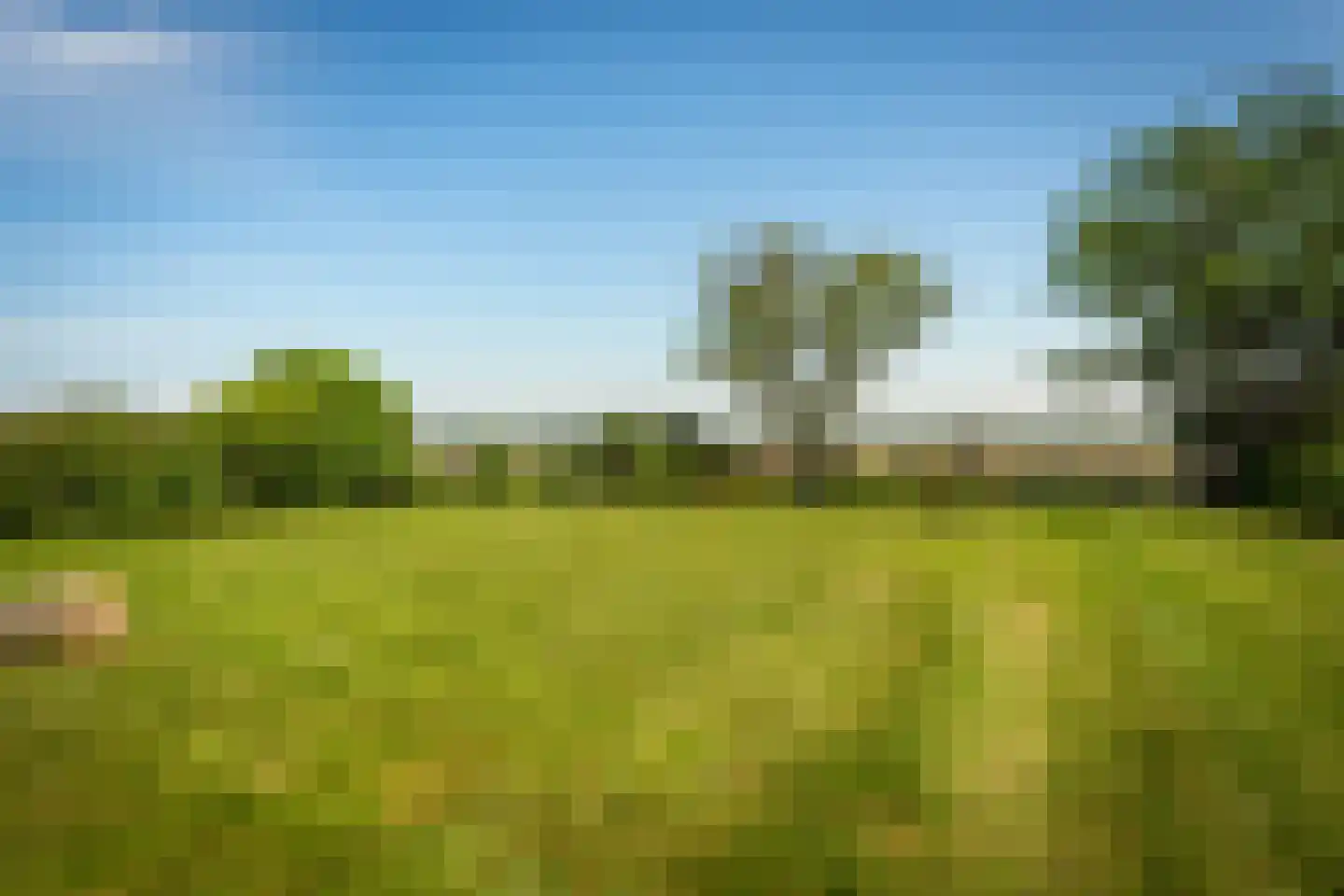Ongeren 7 Den Burg thumbnail 4