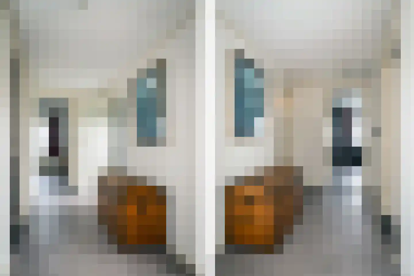 Ongeren 7 Den Burg thumbnail 44