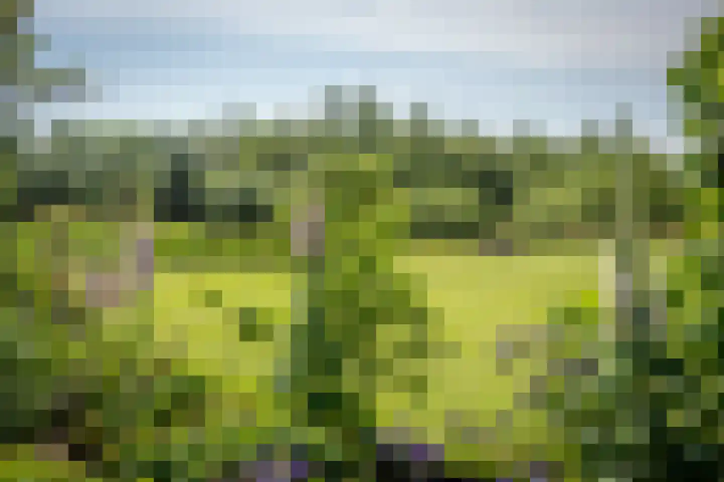 Ongeren 7 Den Burg thumbnail 6
