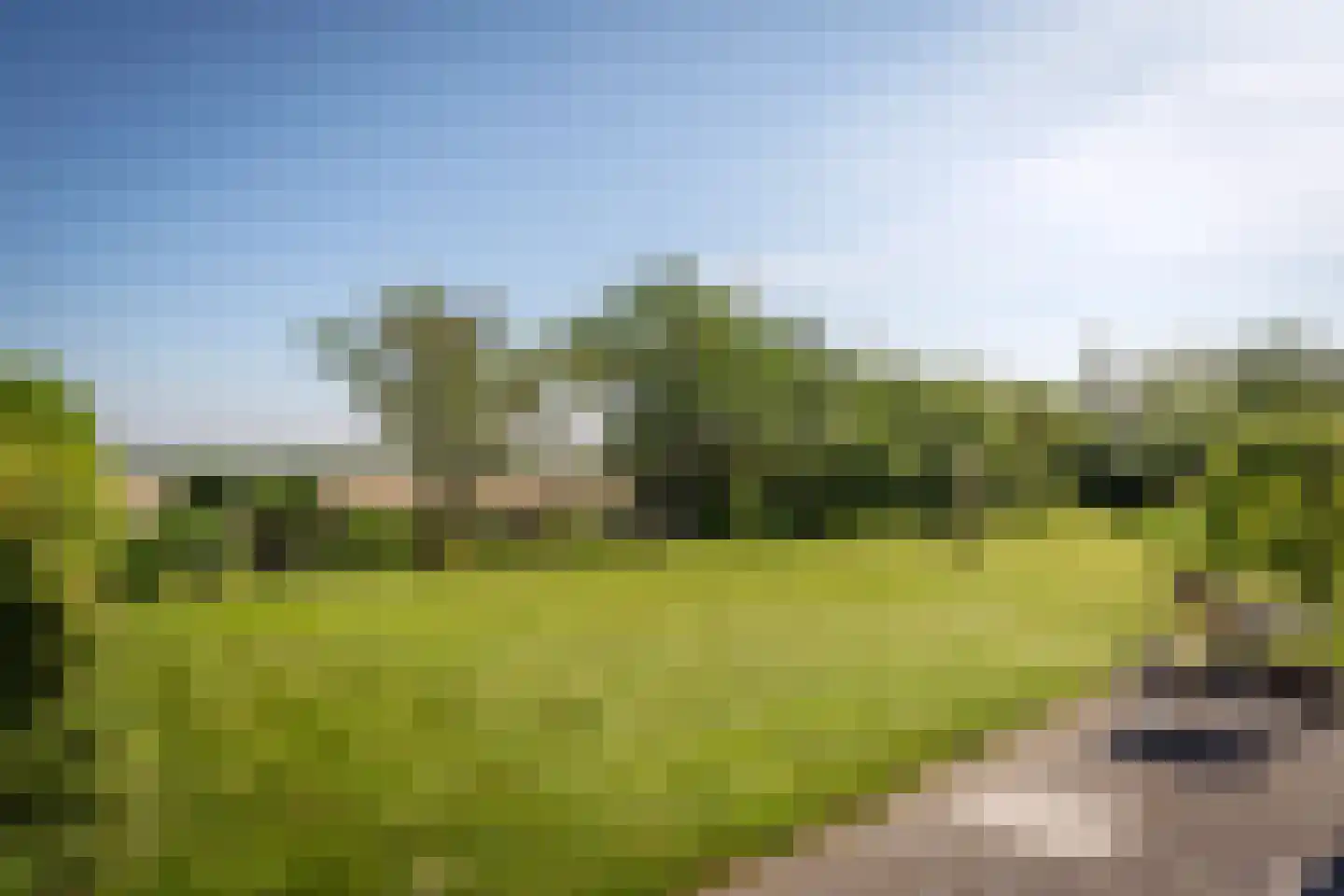 Ongeren 7 Den Burg thumbnail 7