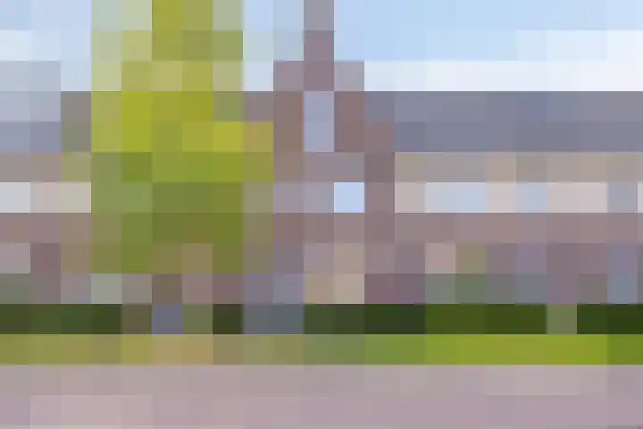 Onkelsticht 65 Dongen thumbnail 33