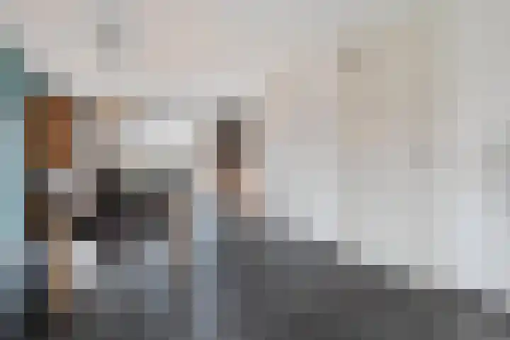 Onland 30 Kampen thumbnail 12