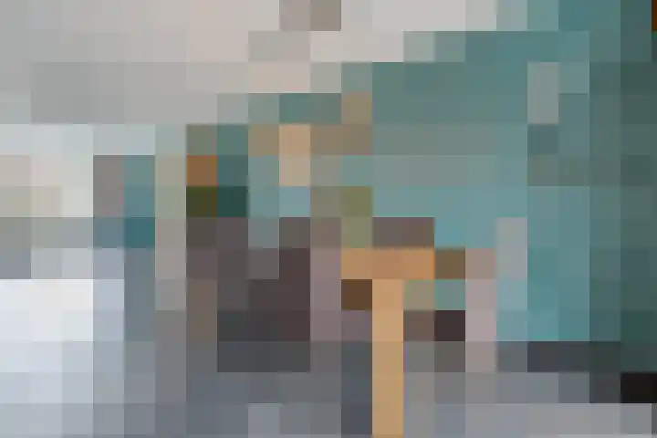 Onland 30 Kampen thumbnail 15