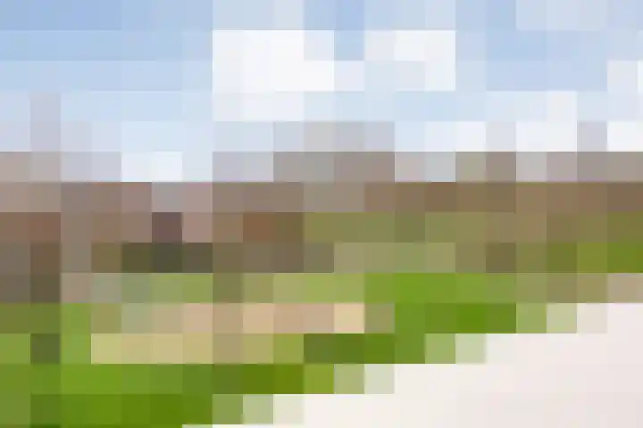 Onland 30 Kampen thumbnail 48