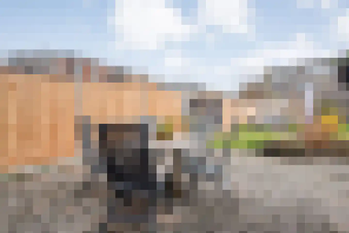 Onland 30 Kampen thumbnail 49