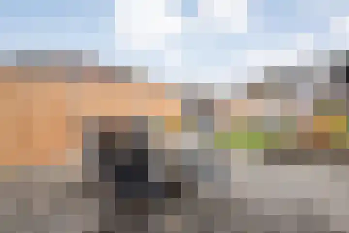 Onland 30 Kampen thumbnail 49