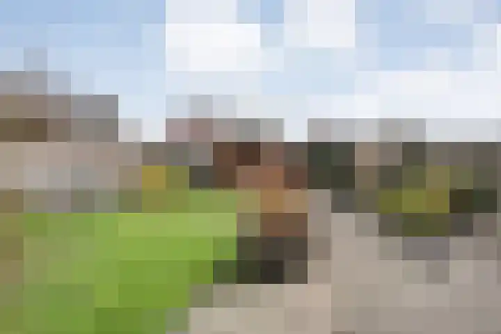 Onland 30 Kampen thumbnail 51