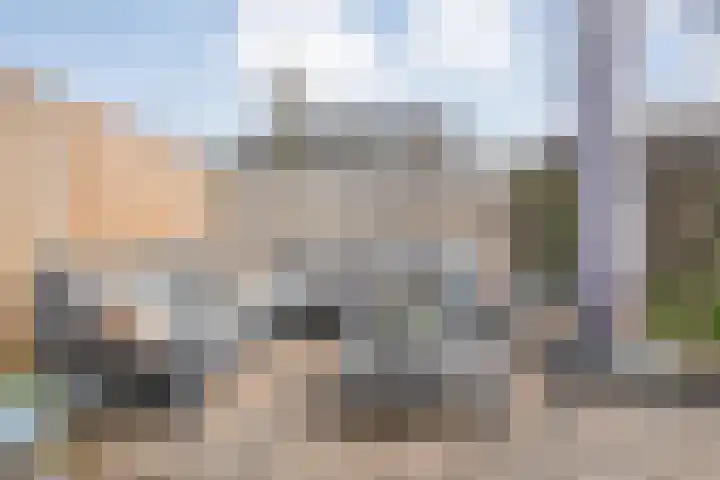 Onland 30 Kampen thumbnail 53