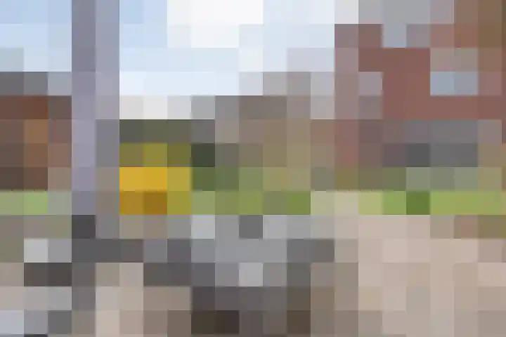 Onland 30 Kampen thumbnail 54