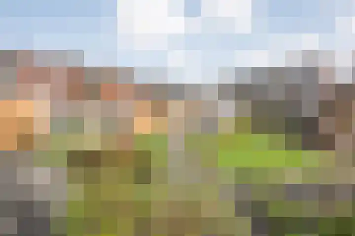 Onland 30 Kampen thumbnail 56