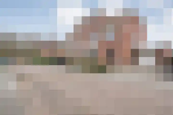 Onland 30 Kampen thumbnail 59