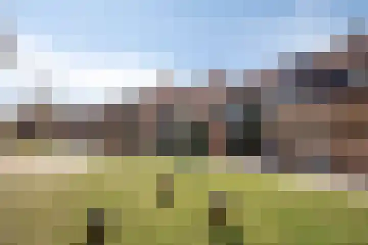 Onlandhorst 14 Enschede thumbnail 5