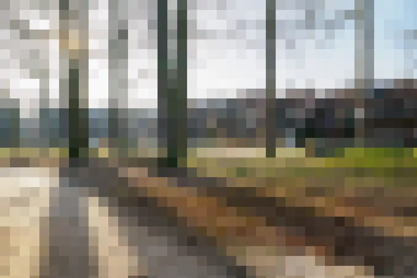 Onlandhorst 26 Enschede thumbnail 37