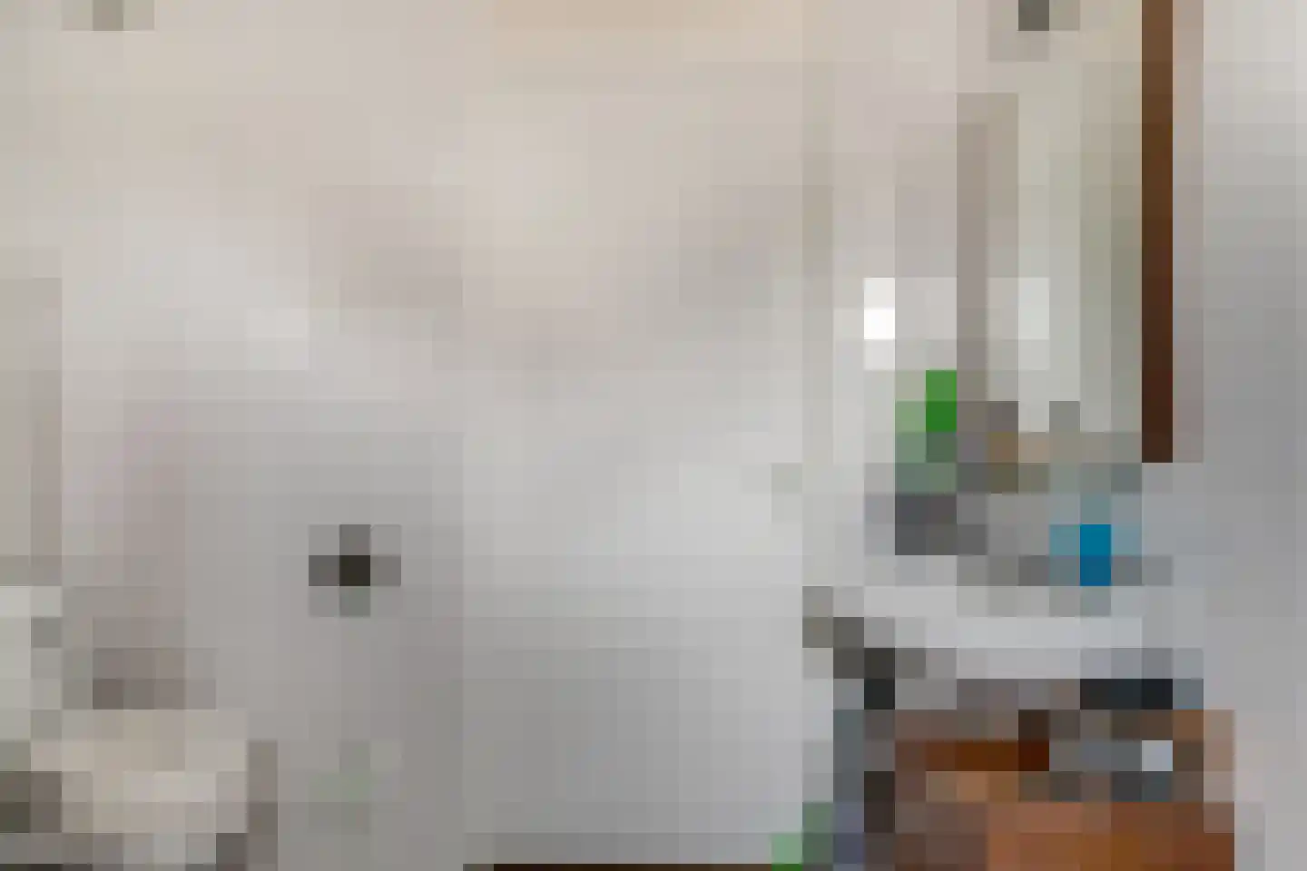Onlandstraat 10 Lobith thumbnail 28